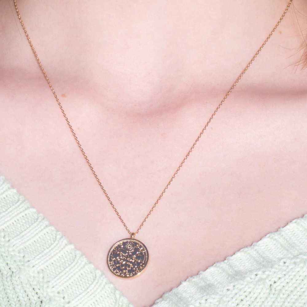 Brandy Melville Gold Coin Necklace